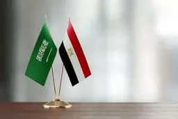 رونمایی از طرح مشترک مصر و عربستان برای کشورهای عربی 