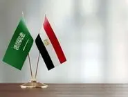 رونمایی از طرح مشترک مصر و عربستان برای کشورهای عربی 