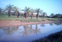 سدهای دز و کارون به یاری آبادان و خرمشهر آمدند