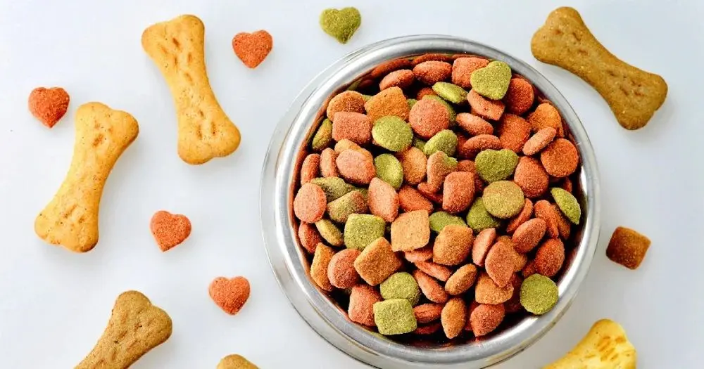 غذای خشک، یا غذای تر؛ کدام نوع غذا برای گربه شما مناسبتر است؟
