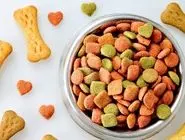 غذای خشک، یا غذای تر؛ کدام نوع غذا برای گربه شما مناسب‌تر است؟
