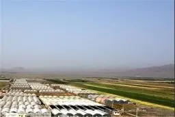 گسترش شهرک‌های کشاورزی در دستور کار دولت چهاردهم