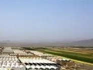 گسترش شهرک‌های کشاورزی در دستور کار دولت چهاردهم
