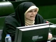 پیشنهاد یک نماینده مجلس برای رسیدگی به خشونت خانگی 