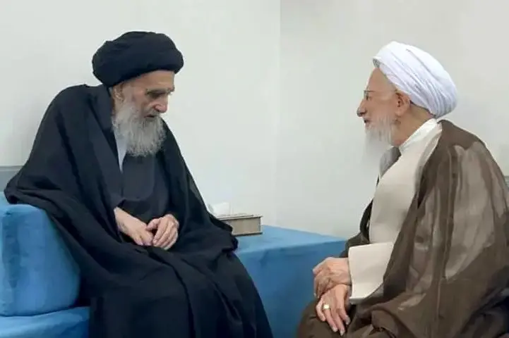 دیدار دو آیتالله در نجف