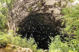 کشف غار پرستوها