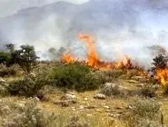 46  هزار هکتار اراضی ملی مرتعی و جنگلی ایران در آتش سوخت