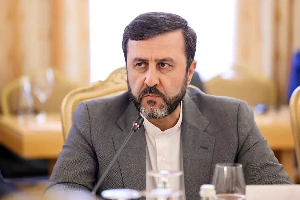 غریبآبادی: سران شانگهای با برداشت گزینشی از قطعنامه ۲۲۳۱ مخالفت کردند
