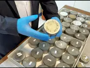 نمایش کشف/ارزیابی کارشناسان از فیلم‌های تازه دوره قاجار که در کاخ گلستان یافت شده است