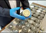 نمایش کشف/ارزیابی کارشناسان از فیلم‌های تازه دوره قاجار که در کاخ گلستان یافت شده است