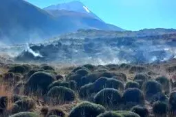 خسارت سنگین آتش‌سوزی در جنگل لار