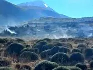 خسارت سنگین آتش‌سوزی در جنگل لار