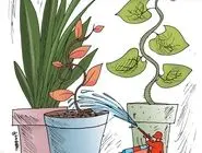 بحران آب و تهدید گیاهان/کاریکاتور کیوان زرگری
