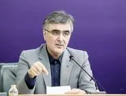 فرزین: سازوکار اتخاذ شده برای بانک ناتراز آینده ادغام نیست