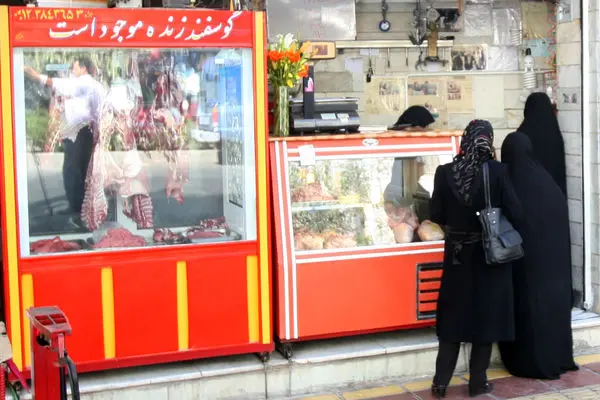 ایران 15 سال پس از تحریم/بررسی شاخص‏‌های کلان افزایش شدید تورم و فقر غذایی، بهداشتی و آموزشی را نشان می‌‏دهد