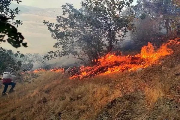 درخواست فوری بالگرد برای مهار حریق بلده