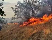 درخواست فوری بالگرد برای مهار حریق بلده

