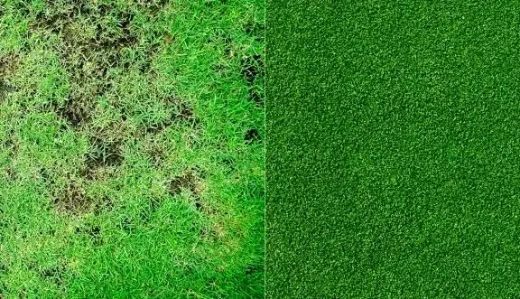 چرا چمن مصنوعی بهصرفهتر از چمن طبیعی است؟