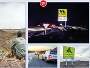 هیچ یوزپلنگی نمُرد/گزارش میدانی از پایش موفق جاده میامی در نوروز که زیستگاه آخرین یوزهای ایرانی است