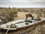 ۹۰۰ میلیون فقیر در معرض خطرات اقلیمی/بررسی گزارش برنامه توسعه سازمان ملل متحد درباره فقر و خطرات اقلیمی در سال ۲۰۲۵