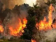 شفاف سازی استاندار از حجم واقعی آتش‌سوزی الیت