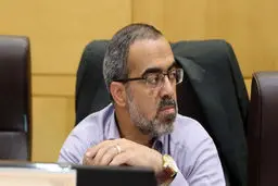 نماینده مجلس: حمایت از ایرانیان مقیم خارج را الزام آور می‌کنیم