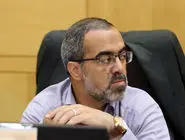 نماینده مجلس: حمایت از ایرانیان مقیم خارج را الزام آور می‌کنیم