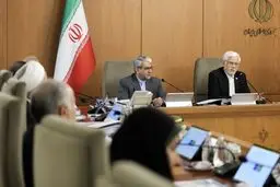 عارف: مکانیزم ماشه پر از شبهات حقوقی است