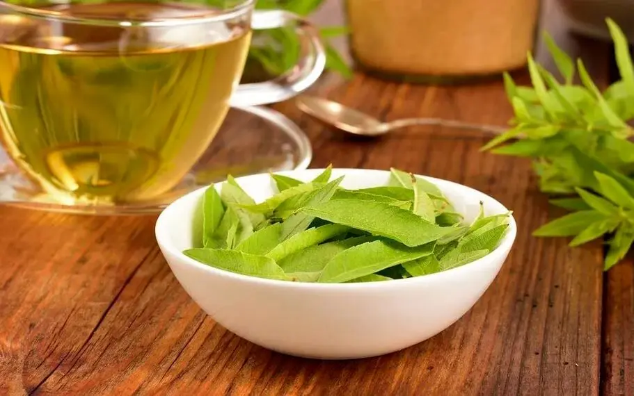 با مصرفها این دمنوشها آرام شوید