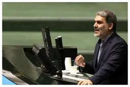 توضیحات زنگنه درباره اختیارات بودجه‌ای مجلس
