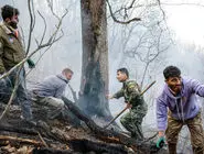 مگر خدا کمک کند/ درباره عکسی از عملیات مهار آتش‌سوزی مناطق کوهستانی روستاهای دلیر و الیت