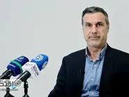 محمدتقی فیاضی کارشناس اقتصادی: اصلاحات قیمتی ارز به تنهایی نتیجه نمی‌دهد