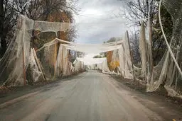 دوره دوره نامردی است/درباره عکسی از تورهای ضد پهپادی در جنگ روسیه و اوکراین