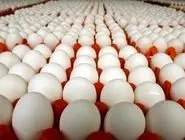 قیمت جدید تخم مرغ اعلام شد 
