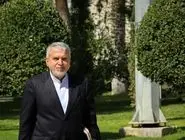 صالحی امیری: «تخت جمشید» هیچ تغییر شکل یا آسیبی ندیده است