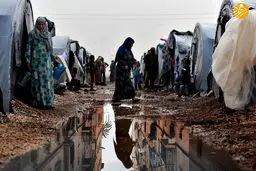 به نزدیک من صلح بهتر که جنگ