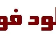 راه مطمئن برای دانلود فونت پولی بدون دردسر (آپدیت 2025)