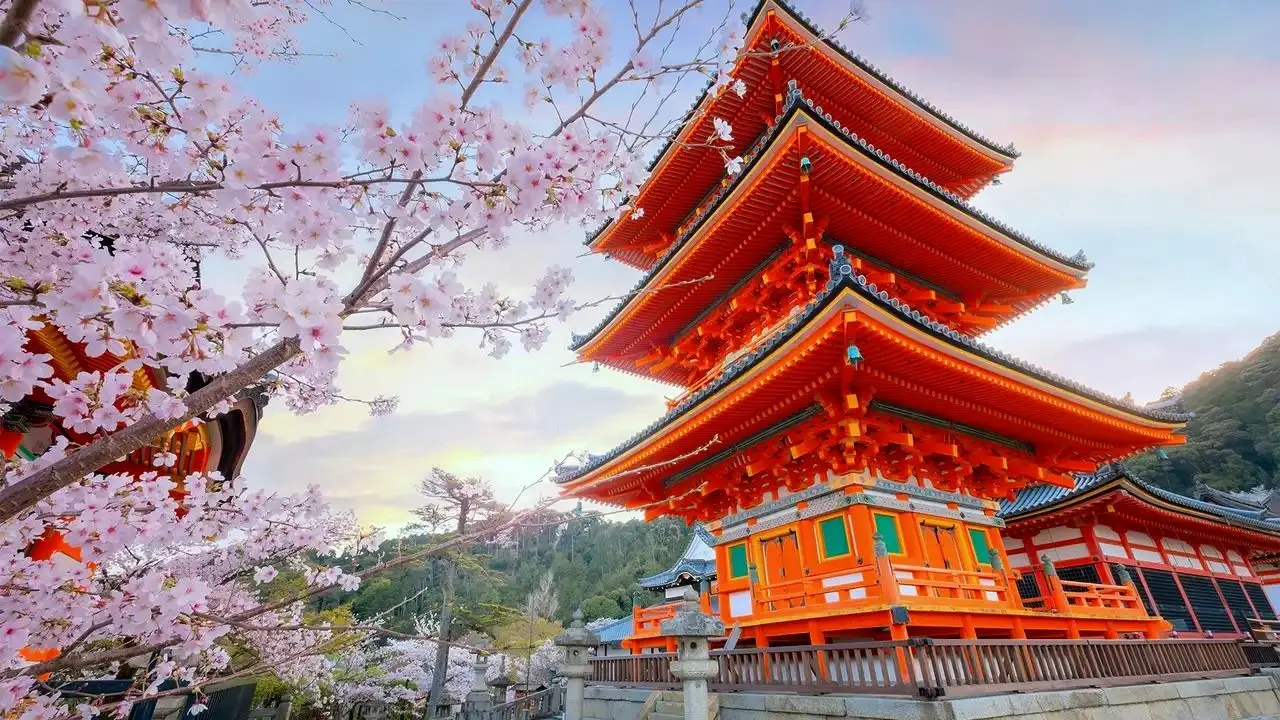 خرید تور ژاپن و بهترین تجربه سفر خارجی