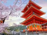 خرید تور ژاپن و بهترین تجربه سفر خارجی