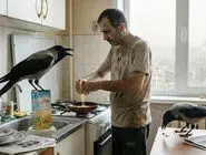 من سه تا می‌خورم/ ماجرای کلاغ و آلودگی هوا/ قسمت سوم