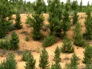 روز جهانی بیابان‌زدایی