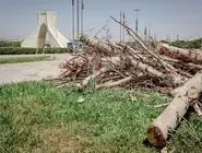 اره برقی در میدان آزادی/درباره عکسی از وضعیت اسفناک فضای سبز مهمترین میدان تهران