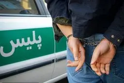 کشف ۹.۷۵ کیلوگرم شیره تریاک در عملیات هوشمند پلیس اردبیل