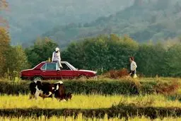 نوستالژی آرمان‌‏شهراز دست‏‌رفته/در «تاسیان» با فانتزی‏‌هایی از آدم‏‌ها و وضعیت‏‌هایی مواجه‌‏ایم که در روایت‏‌های کلان فهم عرفی ساخته شده است