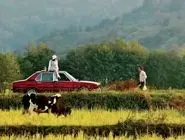 نوستالژی آرمان‌‏شهراز دست‏‌رفته/در «تاسیان» با فانتزی‏‌هایی از آدم‏‌ها و وضعیت‏‌هایی مواجه‌‏ایم که در روایت‏‌های کلان فهم عرفی ساخته شده است