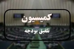 نرخ تورم در بودجه 1404 کاهشی شد 