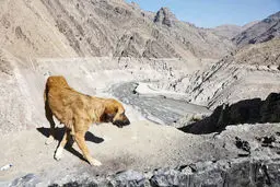 آخ اگه بارون بزنه/درباره عکسی از خشک شدن سد کرج