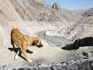 آخ اگه بارون بزنه/درباره عکسی از خشک شدن سد کرج