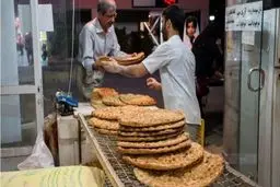 افزایش قیمت نان در تهران تکذیب شد 
