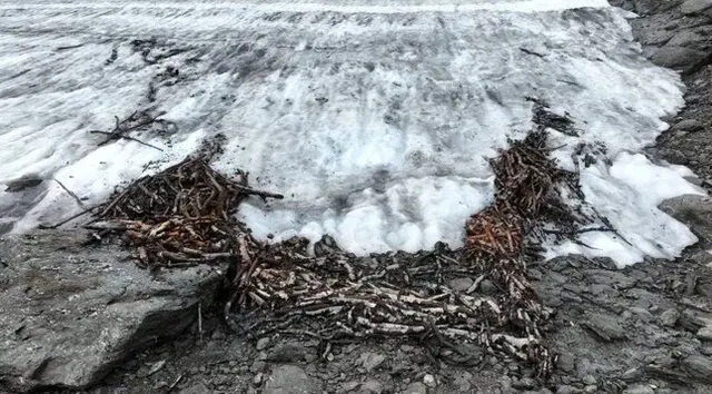 کشف تله ۱۵۰۰ ساله شکار گوزن شمالی در یخ‌های نروژ